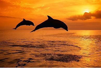 KK对战平台全是彦祖？首届KK地图男神大赛魅力来袭！